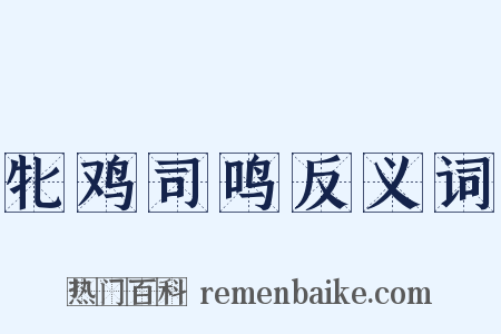 牝鸡司鸣反义词是什么意思的图片